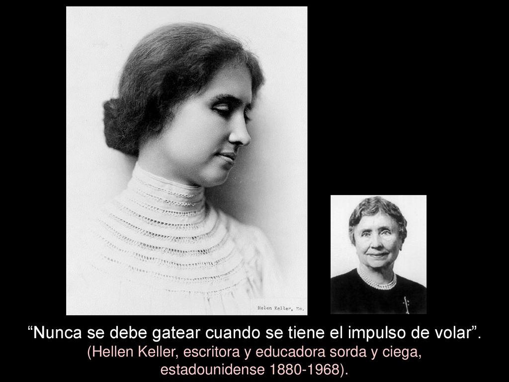 Nunca se debe gatear cuando se tiene el impulso de volar .