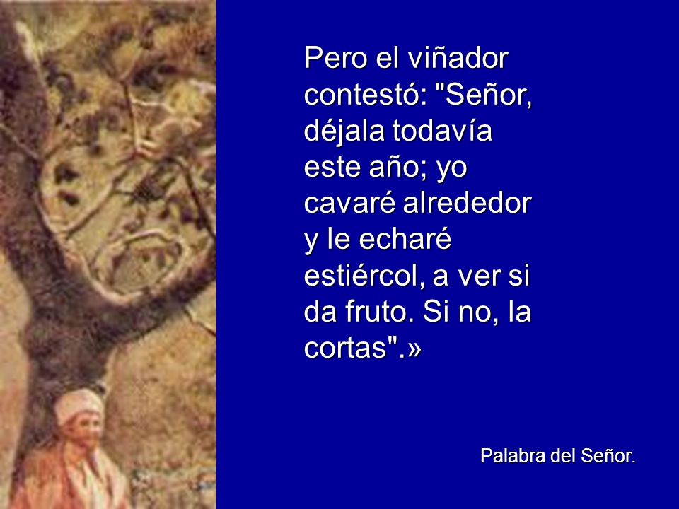 Pero el viñador contestó: Señor, déjala todavía este año; yo cavaré alrededor y le echaré estiércol, a ver si da fruto. Si no, la cortas .»