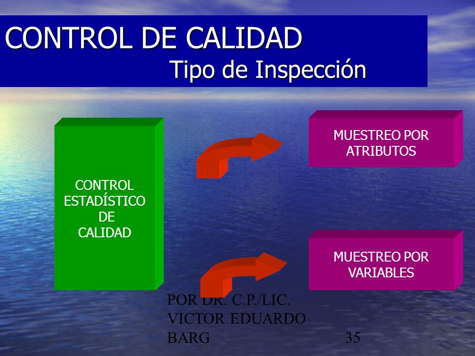 CONTROL DE CALIDAD Tipo de Inspección