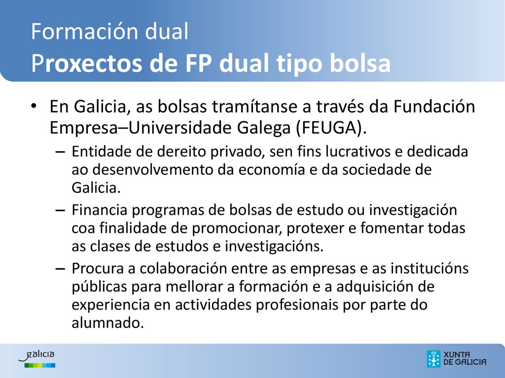 Formación dual Proxectos de FP dual tipo bolsa