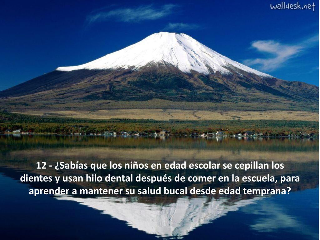 12 - ¿Sabías que los niños en edad escolar se cepillan los dientes y usan hilo dental después de comer en la escuela, para aprender a mantener su salud bucal desde edad temprana