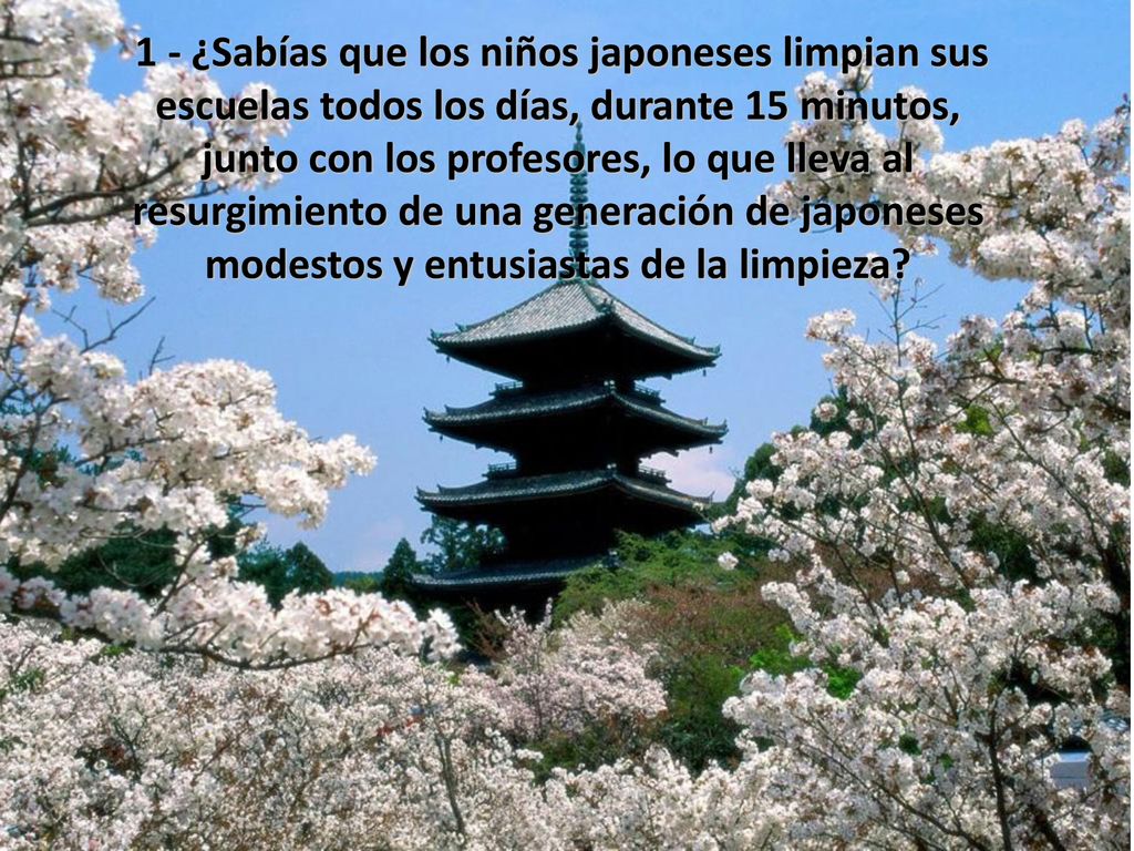 1 - ¿Sabías que los niños japoneses limpian sus escuelas todos los días, durante 15 minutos, junto con los profesores, lo que lleva al resurgimiento de una generación de japoneses modestos y entusiastas de la limpieza