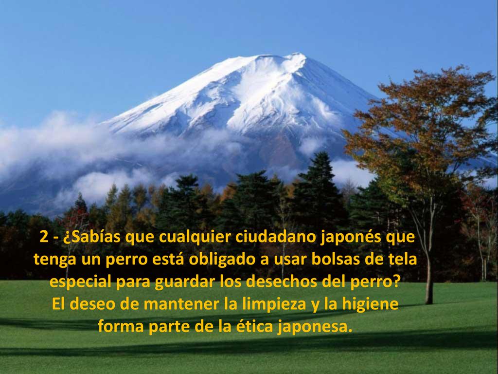 2 - ¿Sabías que cualquier ciudadano japonés que tenga un perro está obligado a usar bolsas de tela especial para guardar los desechos del perro El deseo de mantener la limpieza y la higiene forma parte de la ética japonesa.