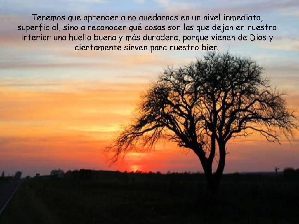 Tenemos que aprender a no quedarnos en un nivel inmediato, superficial, sino a reconocer qué cosas son las que dejan en nuestro interior una huella buena y más duradera, porque vienen de Dios y ciertamente sirven para nuestro bien.