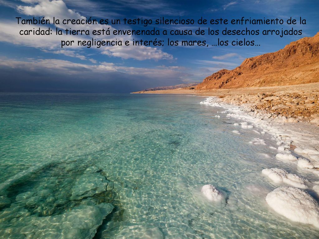 También la creación es un testigo silencioso de este enfriamiento de la caridad: la tierra está envenenada a causa de los desechos arrojados por negligencia e interés; los mares, …los cielos…