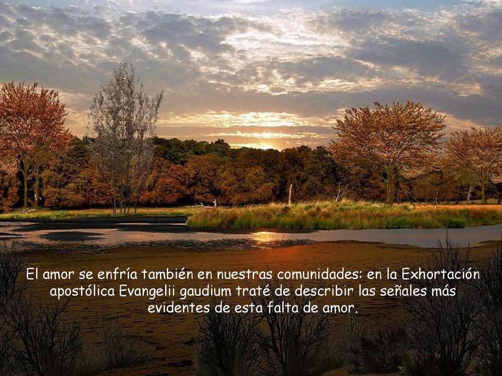 El amor se enfría también en nuestras comunidades: en la Exhortación apostólica Evangelii gaudium traté de describir las señales más evidentes de esta falta de amor.