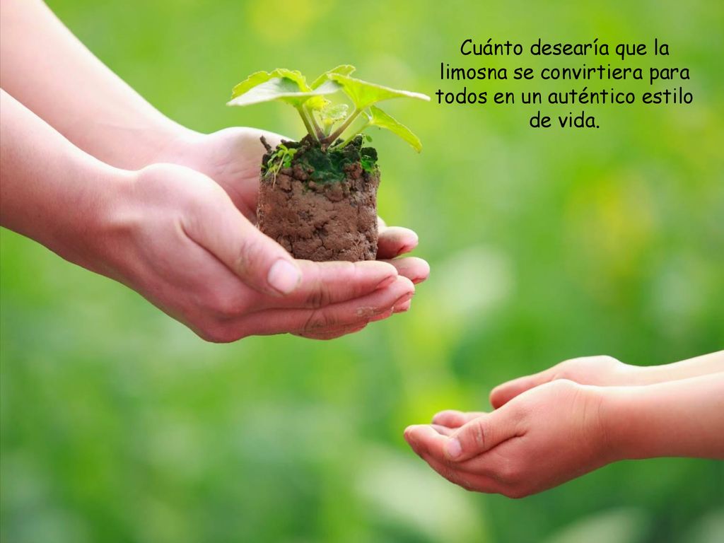 Cuánto desearía que la limosna se convirtiera para todos en un auténtico estilo de vida.
