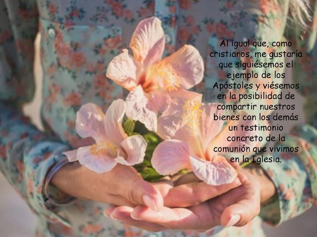 Al igual que, como cristianos, me gustaría que siguiésemos el ejemplo de los Apóstoles y viésemos en la posibilidad de compartir nuestros bienes con los demás un testimonio concreto de la comunión que vivimos en la Iglesia.