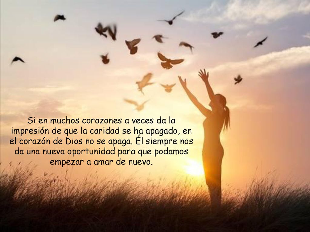Si en muchos corazones a veces da la impresión de que la caridad se ha apagado, en el corazón de Dios no se apaga.