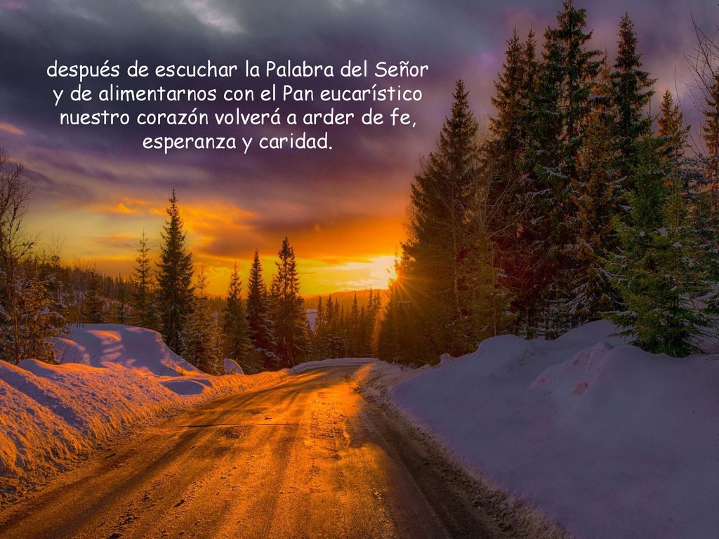 después de escuchar la Palabra del Señor y de alimentarnos con el Pan eucarístico nuestro corazón volverá a arder de fe, esperanza y caridad.