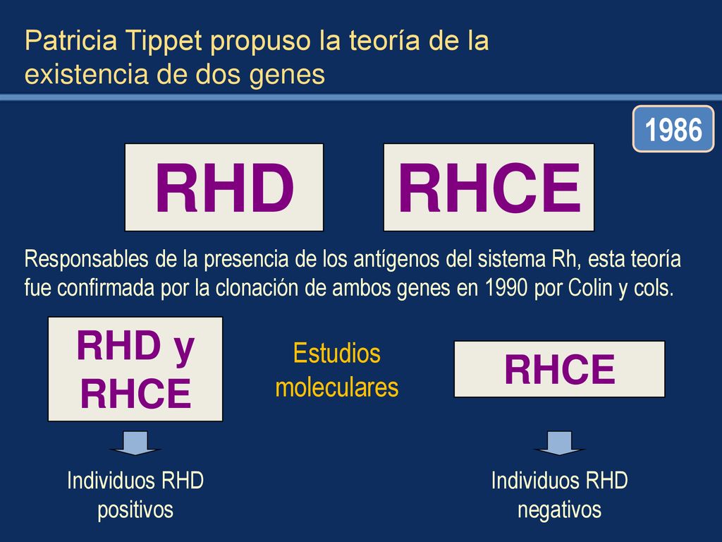 Patricia Tippet propuso la teoría de la existencia de dos genes