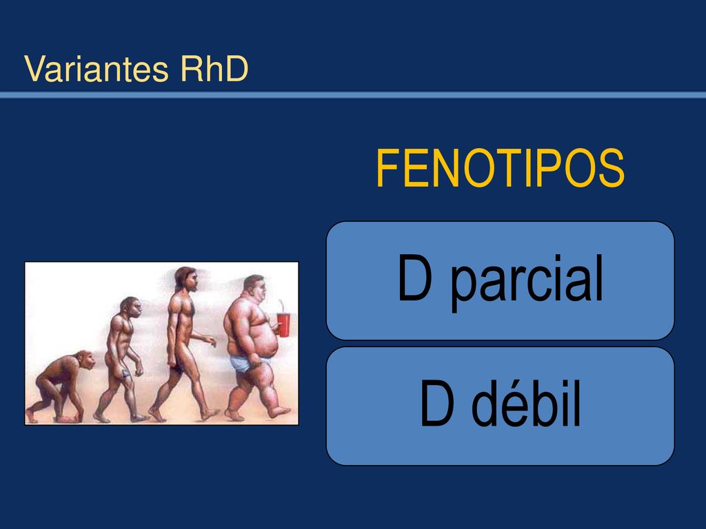 Variantes RhD FENOTIPOS D parcial D débil