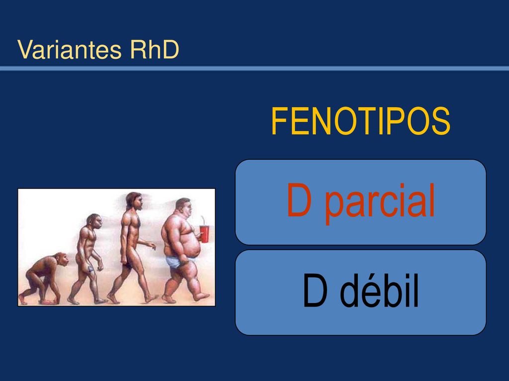 Variantes RhD FENOTIPOS D parcial D débil