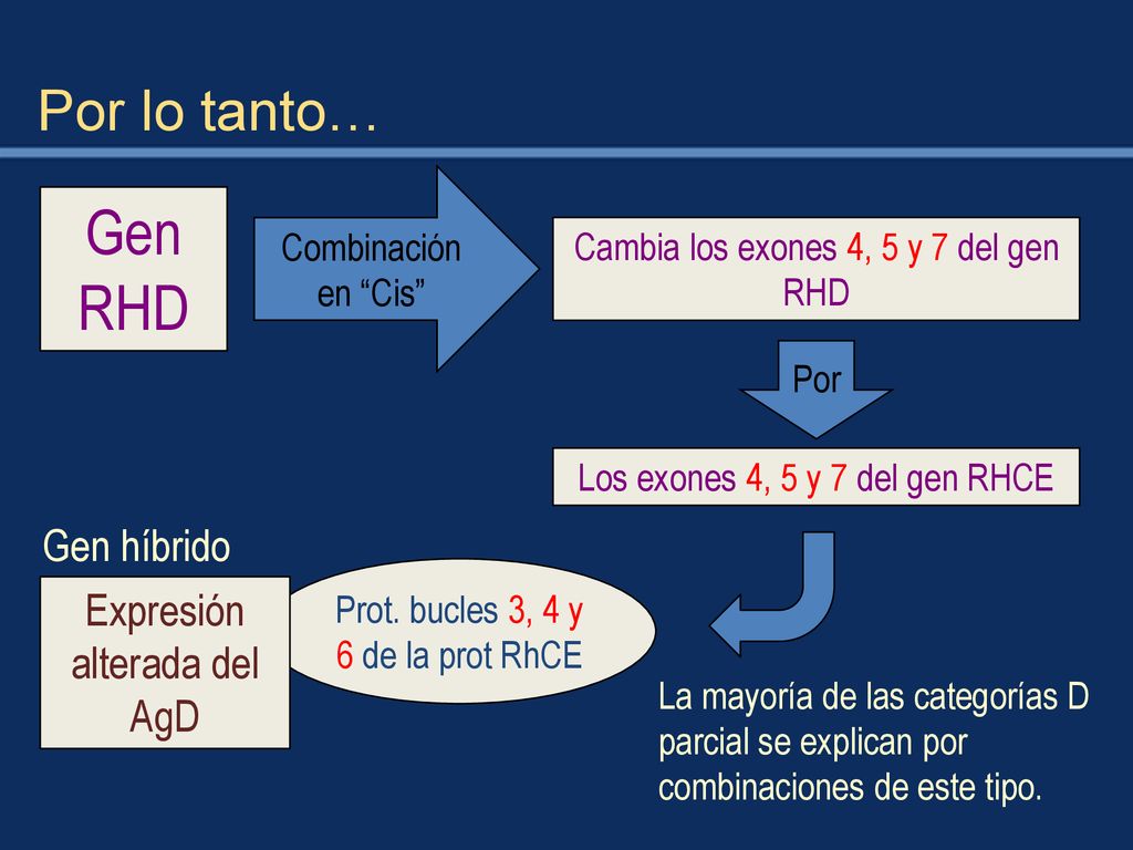 Gen RHD Por lo tanto… Gen híbrido Expresión alterada del AgD