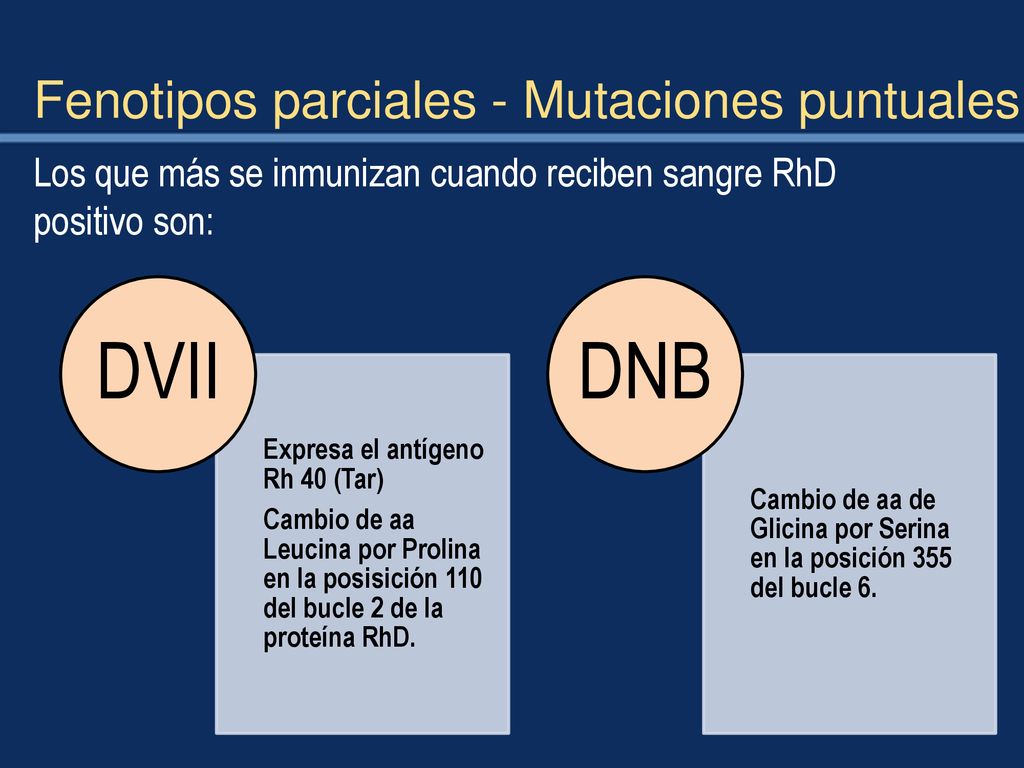 DVII DNB Fenotipos parciales - Mutaciones puntuales