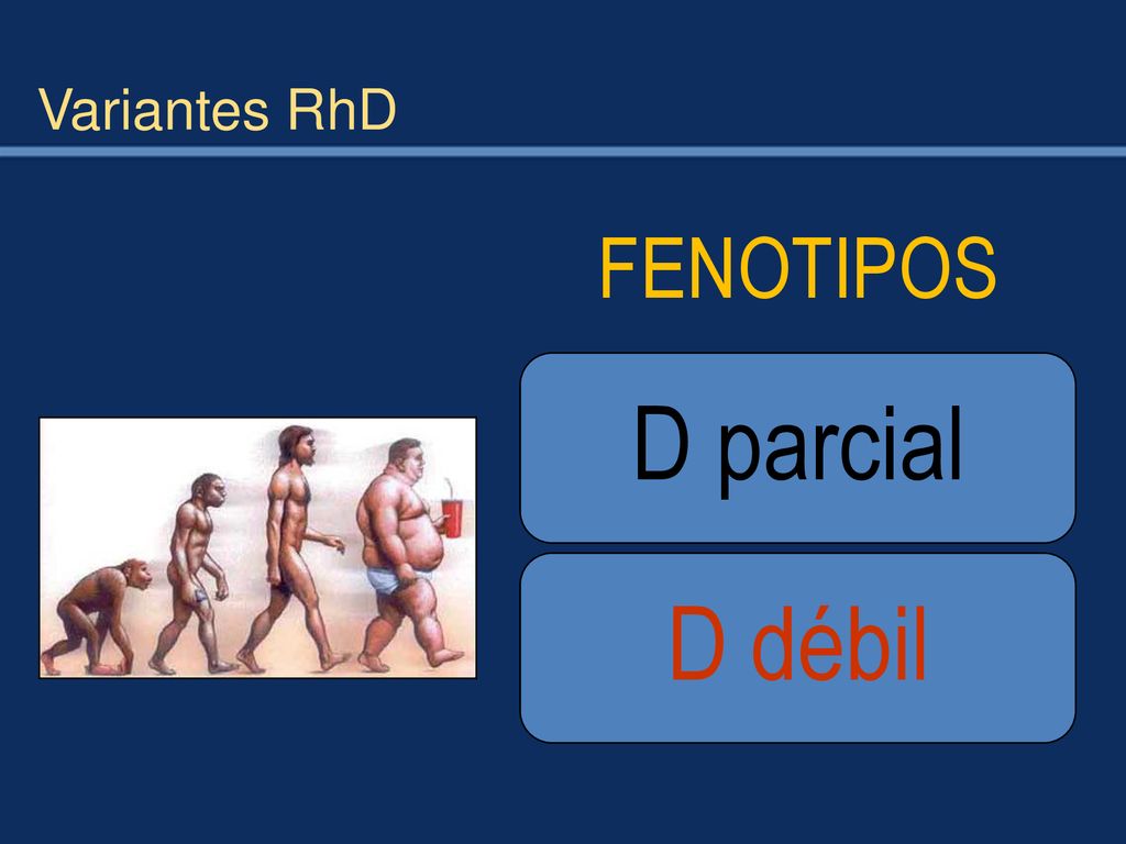 Variantes RhD FENOTIPOS D parcial D débil