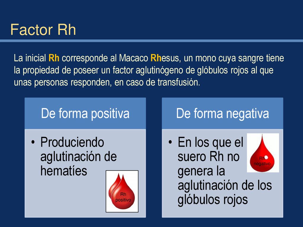 Factor Rh De forma positiva Produciendo aglutinación de hematíes