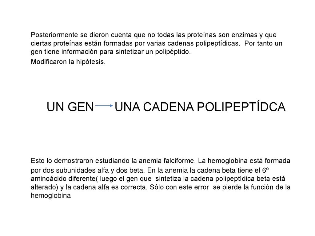 Posteriormente se dieron cuenta que no todas las proteínas son enzimas y que ciertas proteínas están formadas por varias cadenas polipeptídicas. Por tanto un gen tiene información para sintetizar un polipéptido.