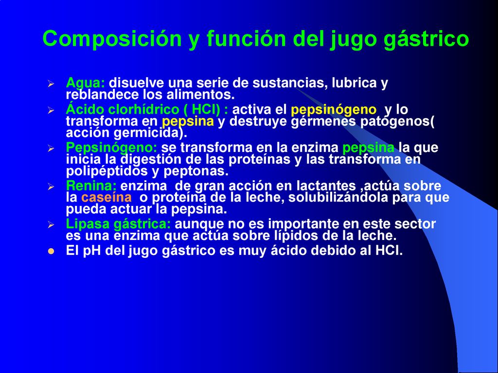 Digestión Y Sistema Digestivo Ppt Descargar