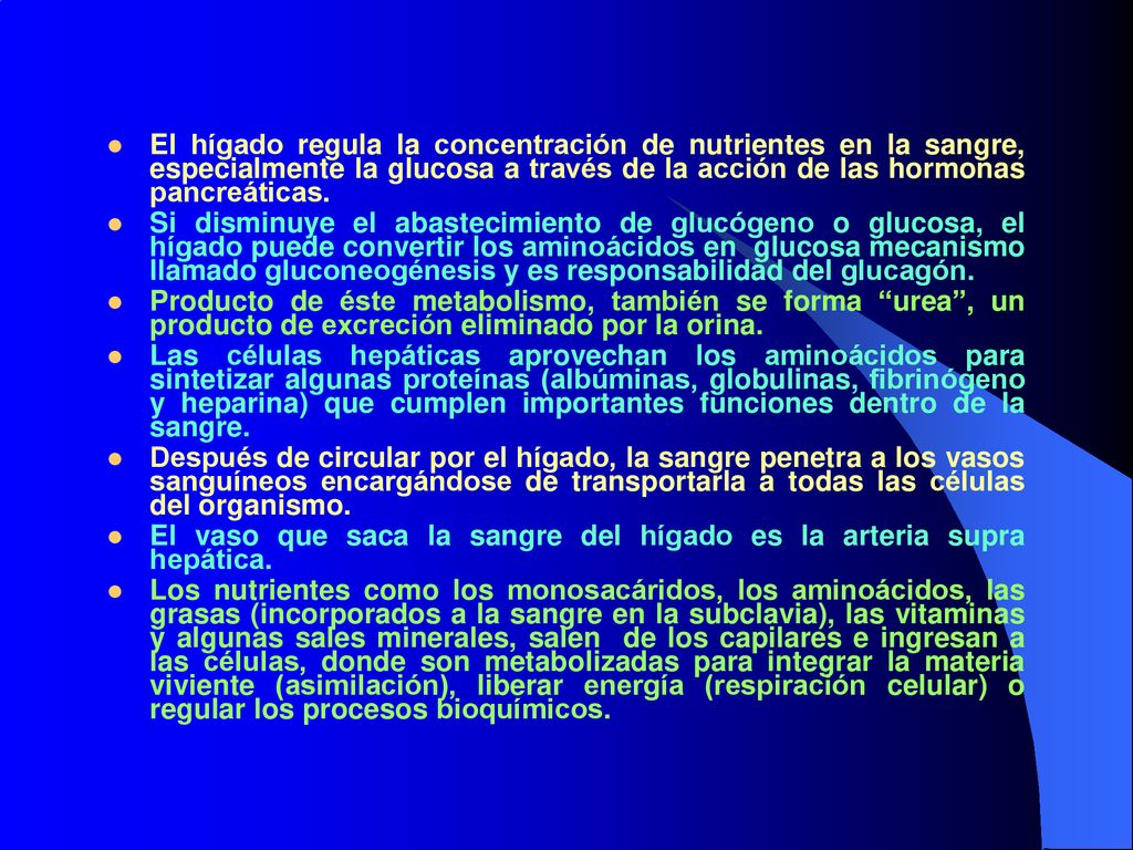 El hígado regula la concentración de nutrientes en la sangre, especialmente la glucosa a través de la acción de las hormonas pancreáticas.