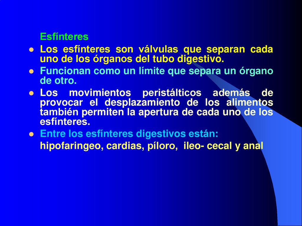 Esfínteres Los esfínteres son válvulas que separan cada uno de los órganos del tubo digestivo.