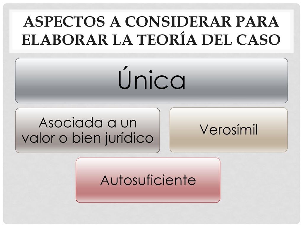 Aspectos a considerar para elaborar la Teoría del Caso