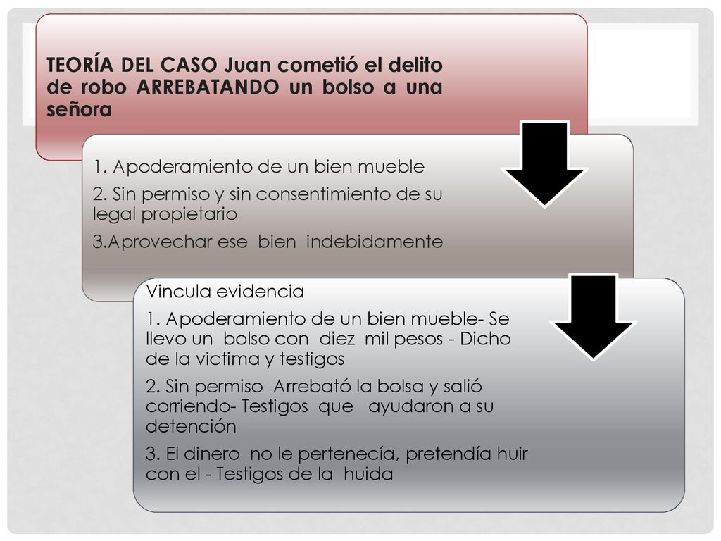 TEORÍA DEL CASO Juan cometió el delito de robo ARREBATANDO un bolso a una señora