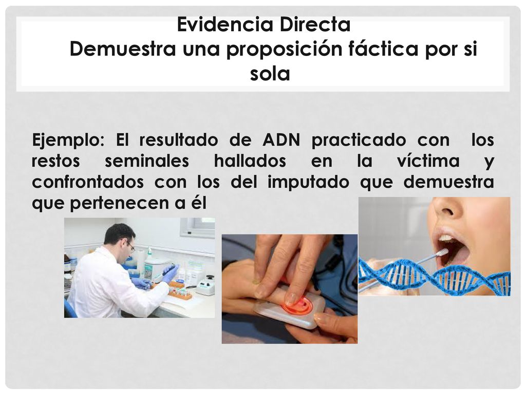 Evidencia Directa Demuestra una proposición fáctica por si sola