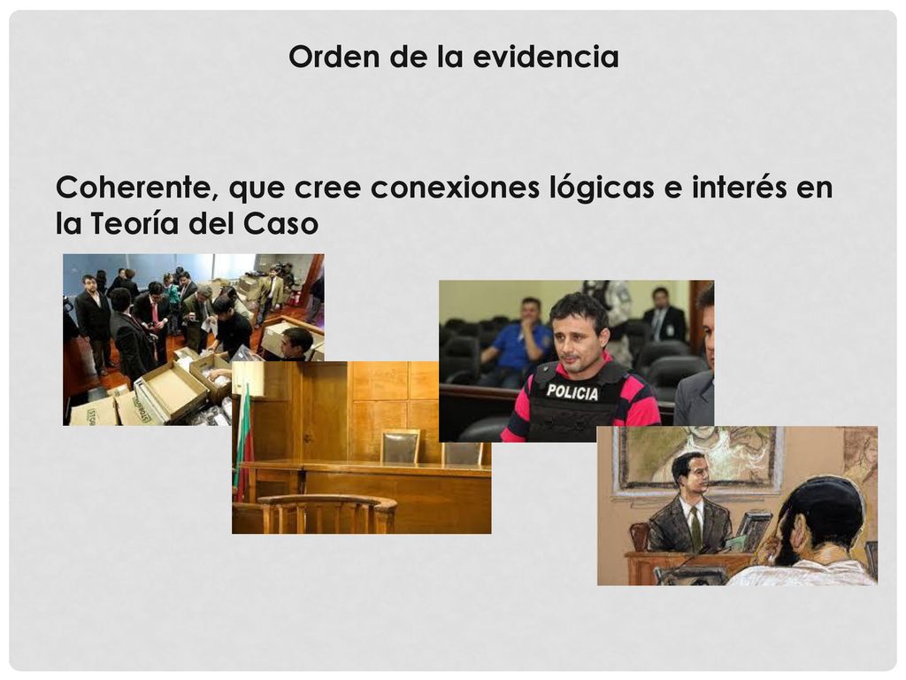 Orden de la evidencia Coherente, que cree conexiones lógicas e interés en la Teoría del Caso