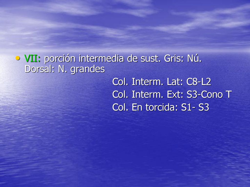 VII: porción intermedia de sust. Gris: Nú. Dorsal: N. grandes