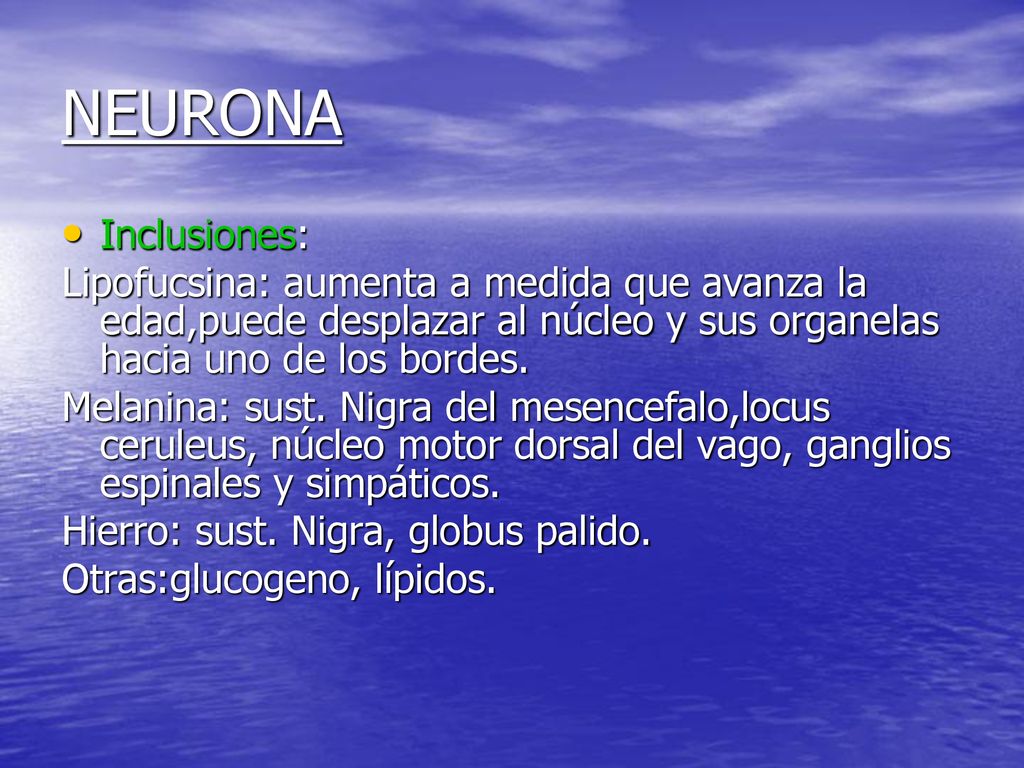 NEURONA Inclusiones: Lipofucsina: aumenta a medida que avanza la edad,puede desplazar al núcleo y sus organelas hacia uno de los bordes.