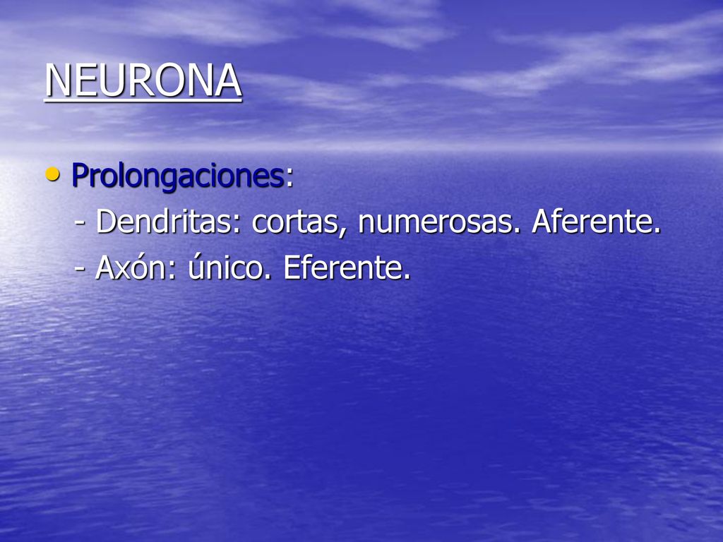 NEURONA Prolongaciones: - Dendritas: cortas, numerosas. Aferente.