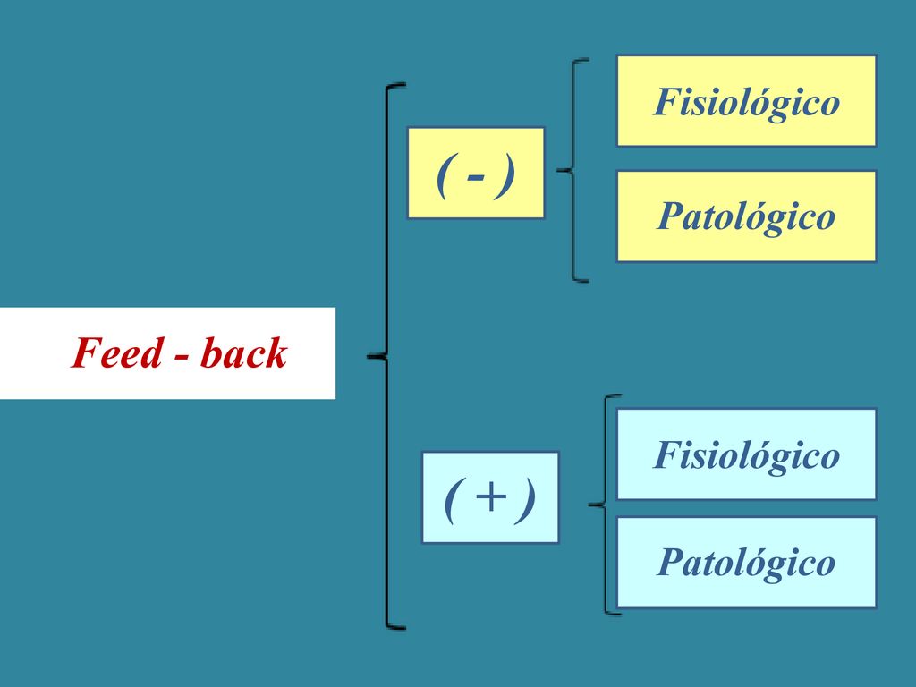 Fisiológico ( - ) Patológico Feed - back Fisiológico ( + ) Patológico