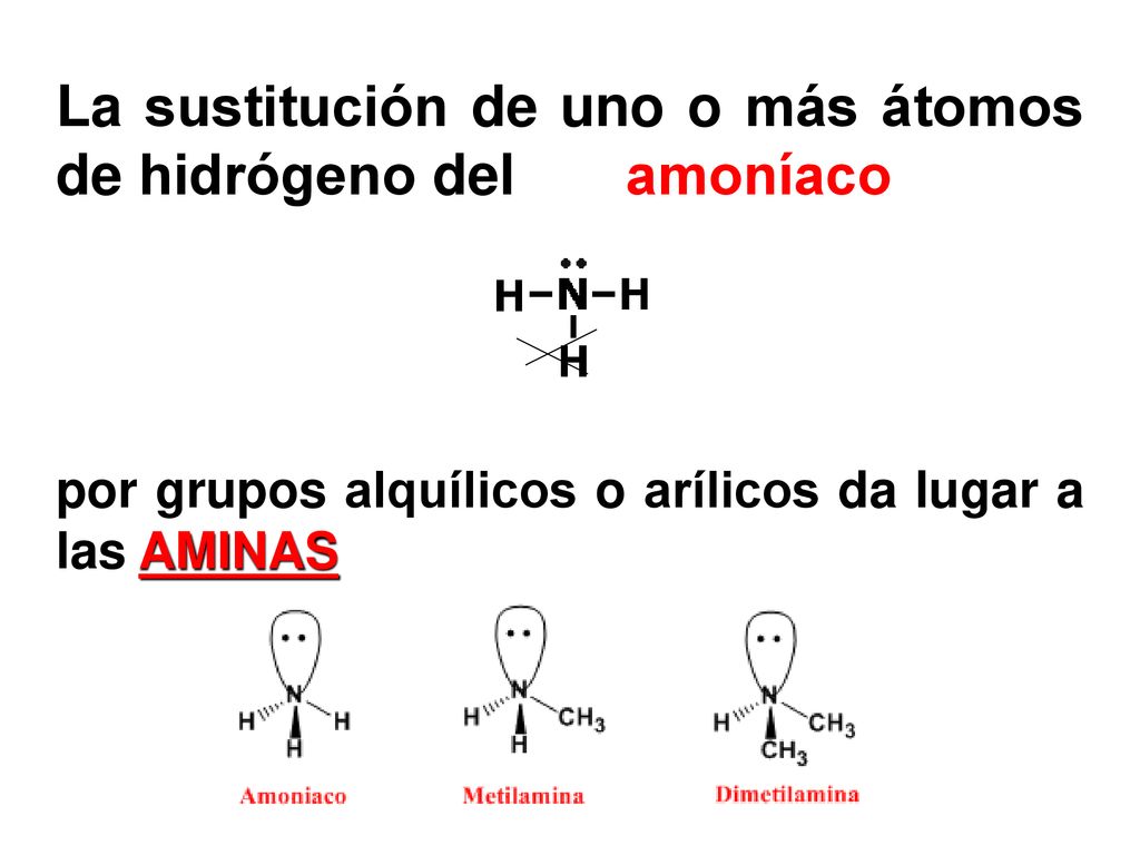 La sustitución de uno o más átomos de hidrógeno del amoníaco