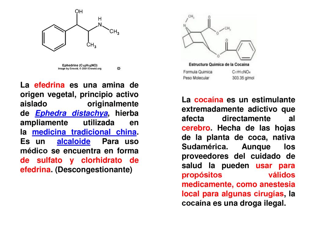 La efedrina es una amina de origen vegetal, principio activo aislado originalmente de Ephedra distachya, hierba ampliamente utilizada en la medicina tradicional china. Es un alcaloide Para uso médico se encuentra en forma de sulfato y clorhidrato de efedrina. (Descongestionante)