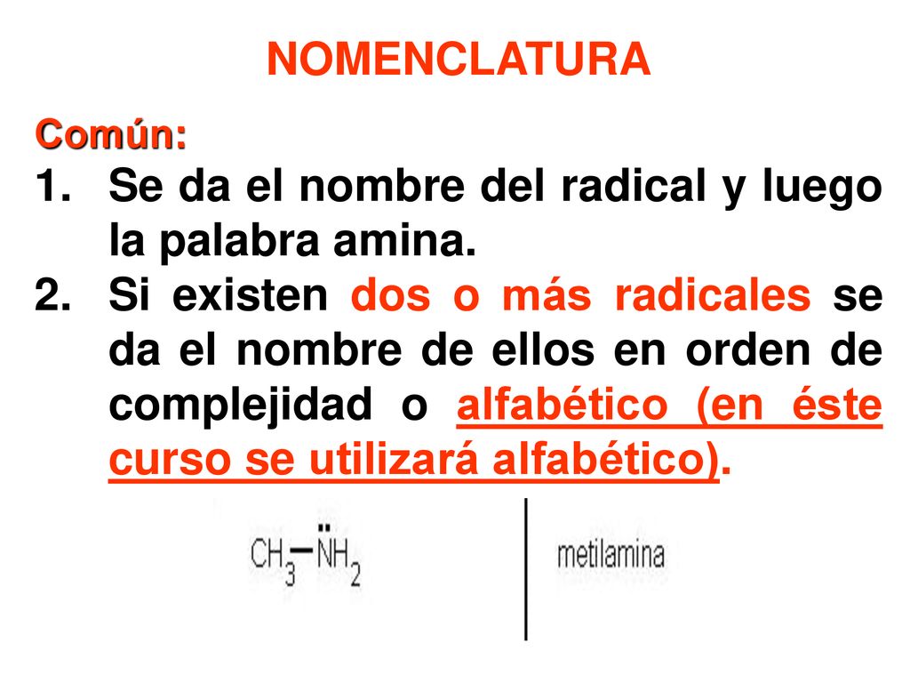 Se da el nombre del radical y luego la palabra amina.