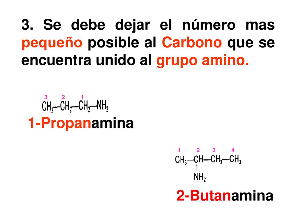 3. Se debe dejar el número mas pequeño posible al Carbono que se encuentra unido al grupo amino.