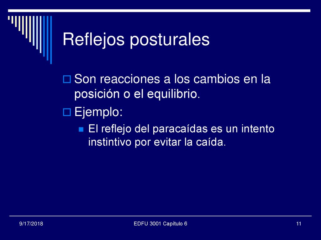 Reflejos posturales Son reacciones a los cambios en la posición o el equilibrio. Ejemplo: