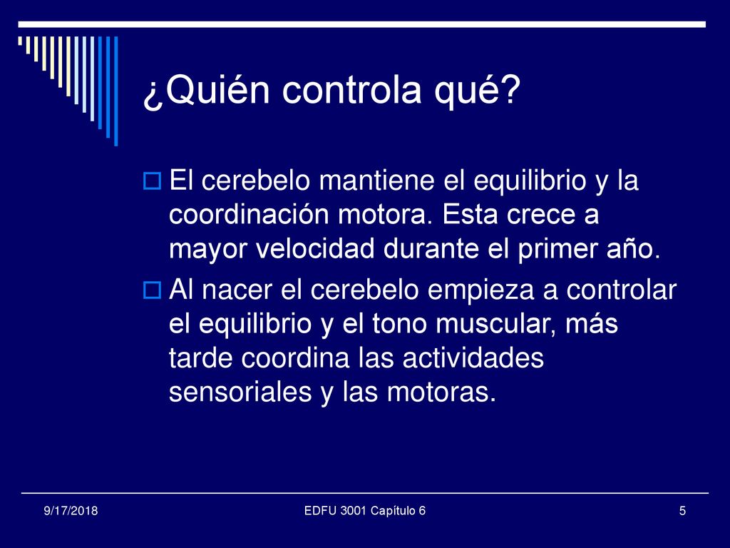 ¿Quién controla qué El cerebelo mantiene el equilibrio y la coordinación motora. Esta crece a mayor velocidad durante el primer año.