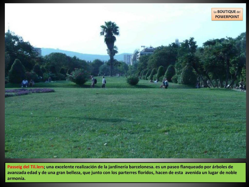 Passeig del Til.lers; una excelente realización de la jardinería barcelonesa.