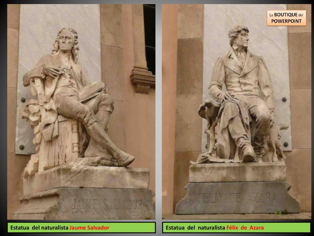 Estatua del naturalista Jaume Salvador