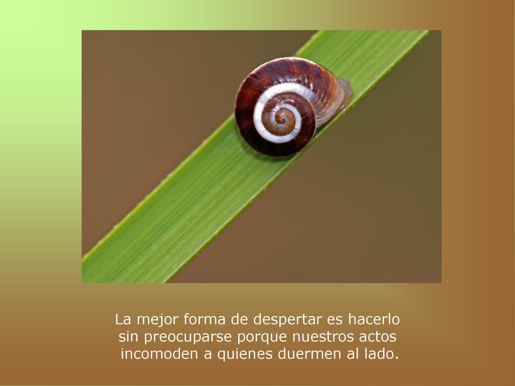 La mejor forma de despertar es hacerlo sin preocuparse porque nuestros actos incomoden a quienes duermen al lado.