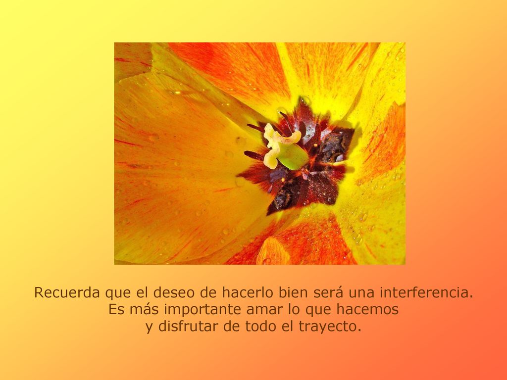 Recuerda que el deseo de hacerlo bien será una interferencia