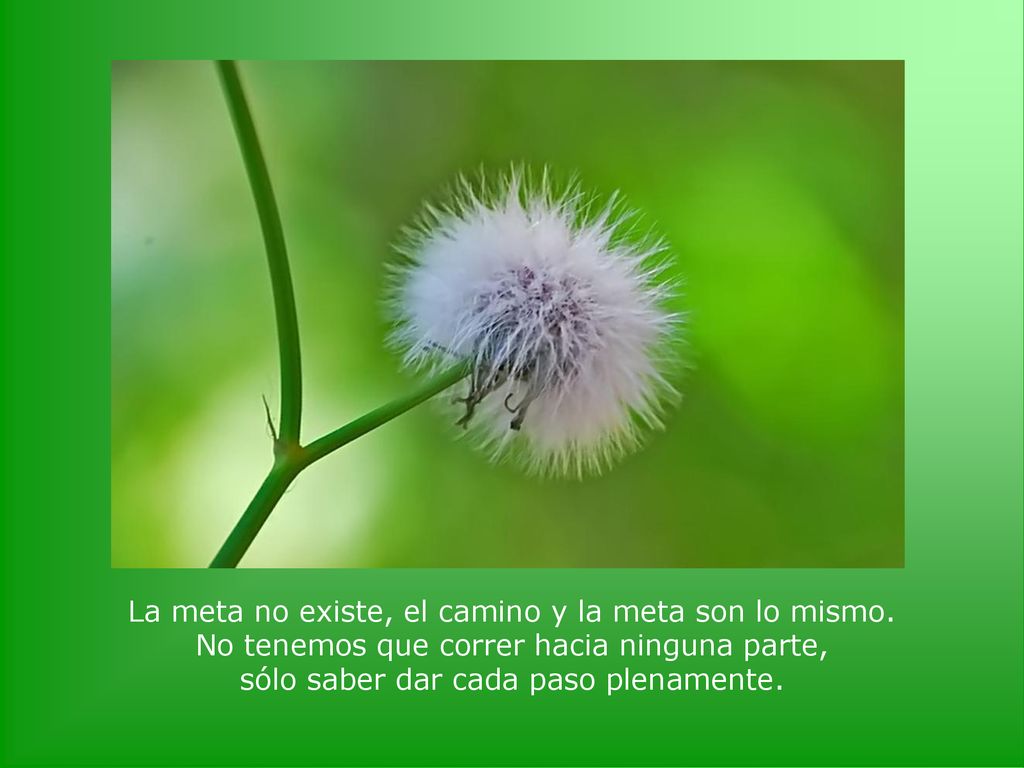 La meta no existe, el camino y la meta son lo mismo