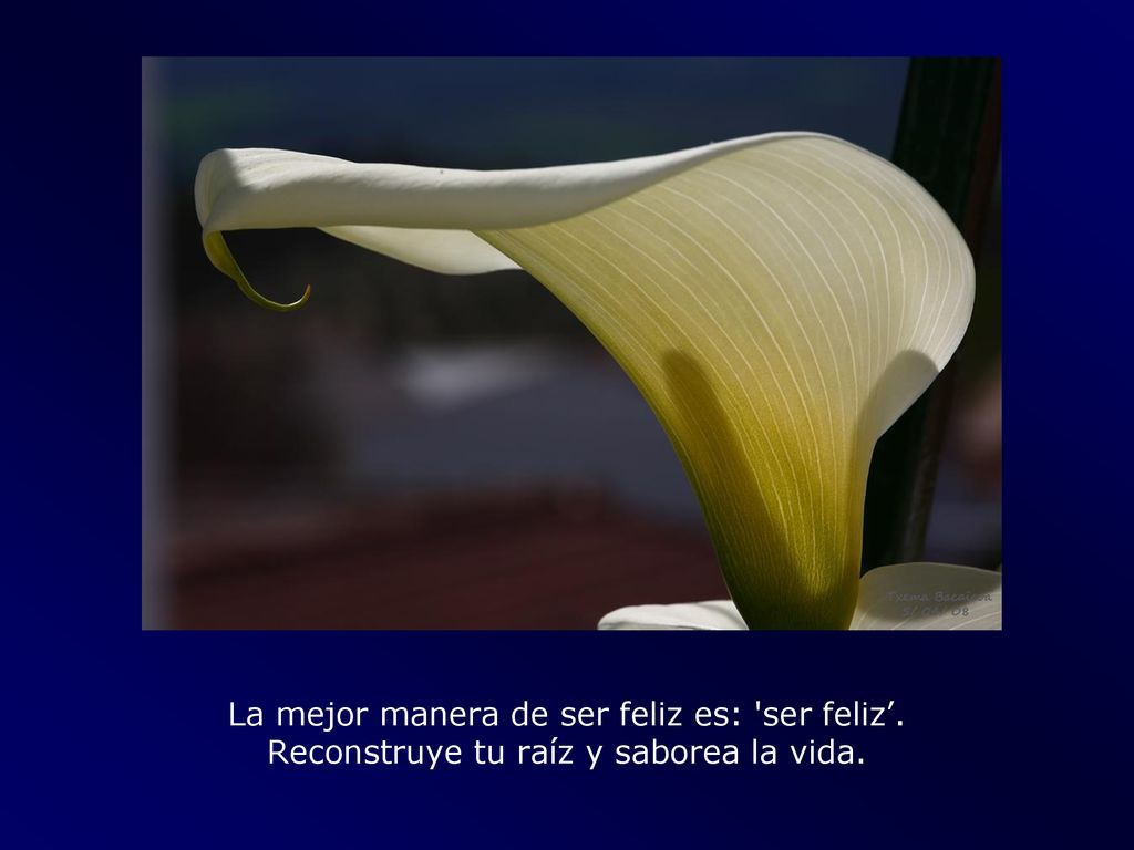 La mejor manera de ser feliz es: ser feliz’