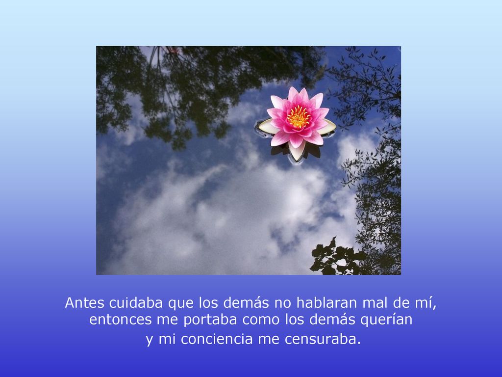 Antes cuidaba que los demás no hablaran mal de mí, entonces me portaba como los demás querían y mi conciencia me censuraba.