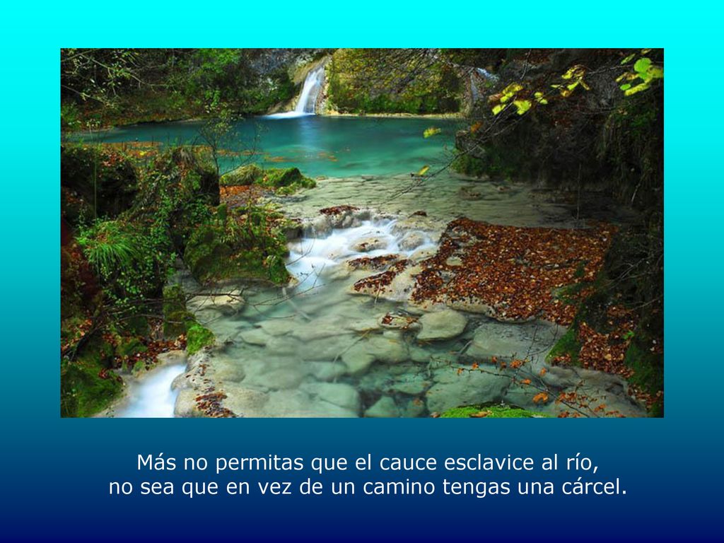 Más no permitas que el cauce esclavice al río, no sea que en vez de un camino tengas una cárcel.