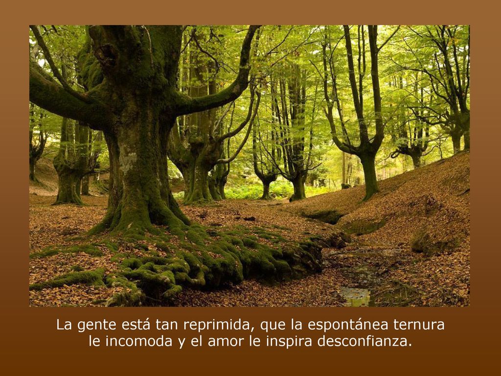 La gente está tan reprimida, que la espontánea ternura le incomoda y el amor le inspira desconfianza.