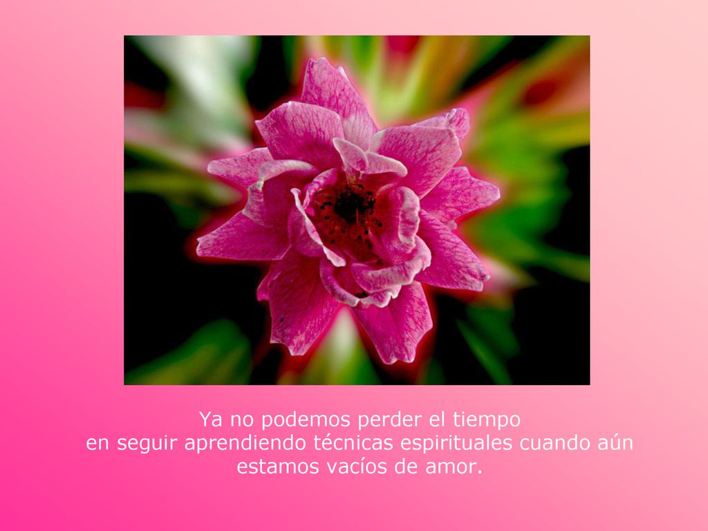 Ya no podemos perder el tiempo en seguir aprendiendo técnicas espirituales cuando aún estamos vacíos de amor.