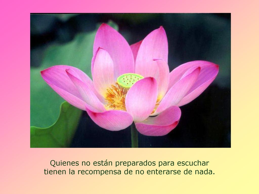 Quienes no están preparados para escuchar tienen la recompensa de no enterarse de nada.